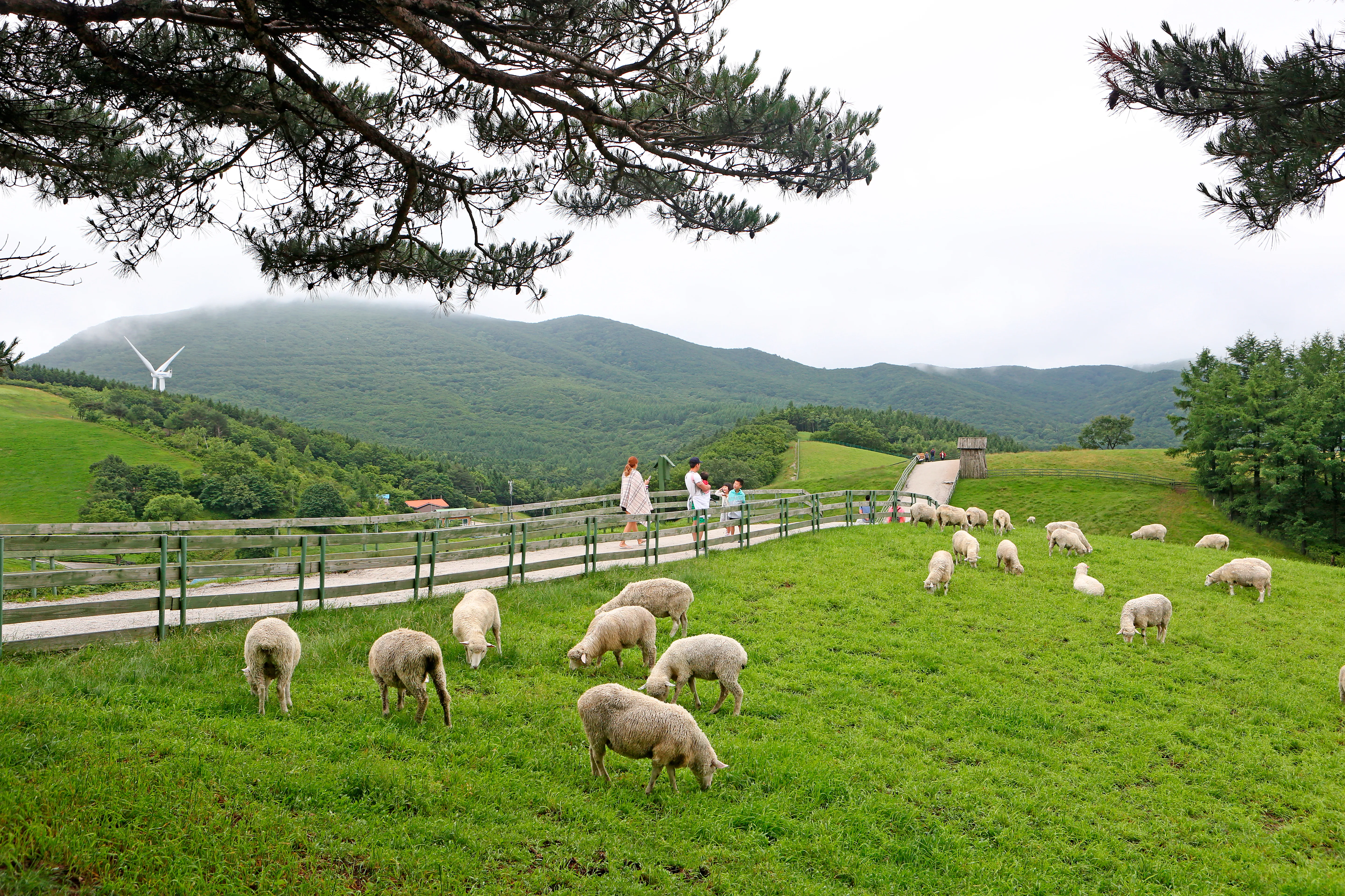강원도 프라이빗 투어